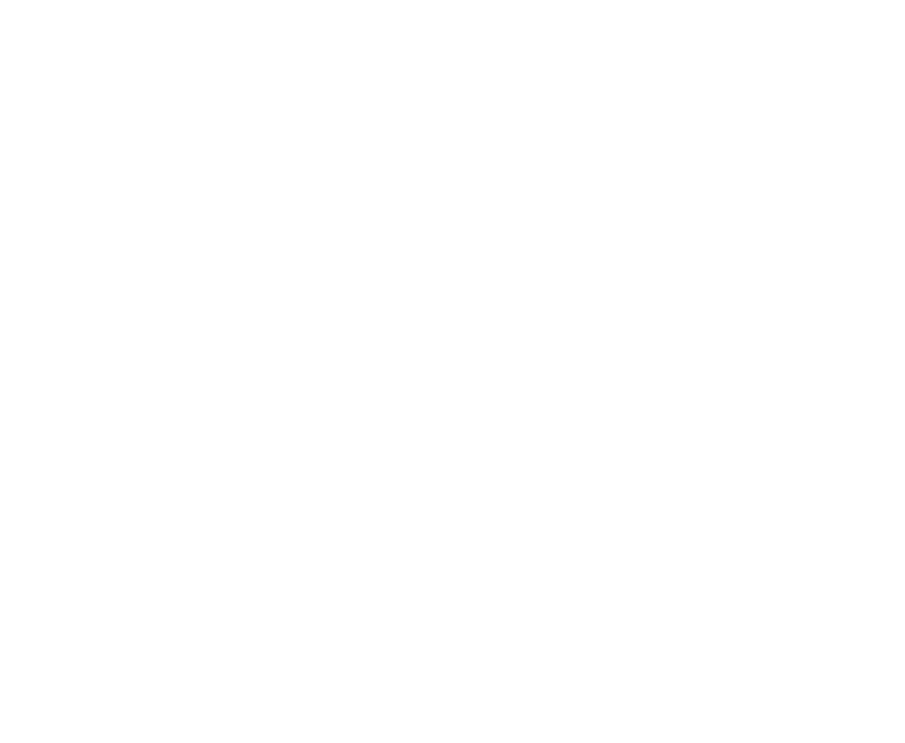 Indus Valley Systems